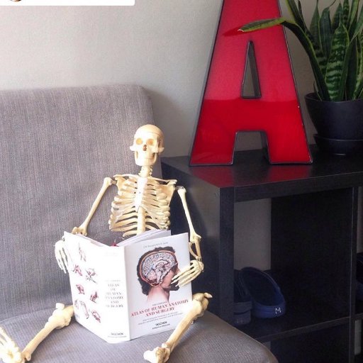 CMTO-Registered Massage Therapist tweeting #RMTtips & various health/fitness/science-geeky things I like. 1302 Bloor St W - 416.890.1505 - rmt@anatomica.ca