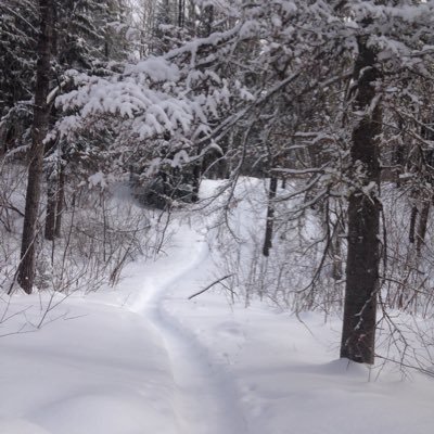 Baconbits1414's profile picture. 