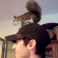 Herbie D. (@sporkaresuper) 's Twitter Profile