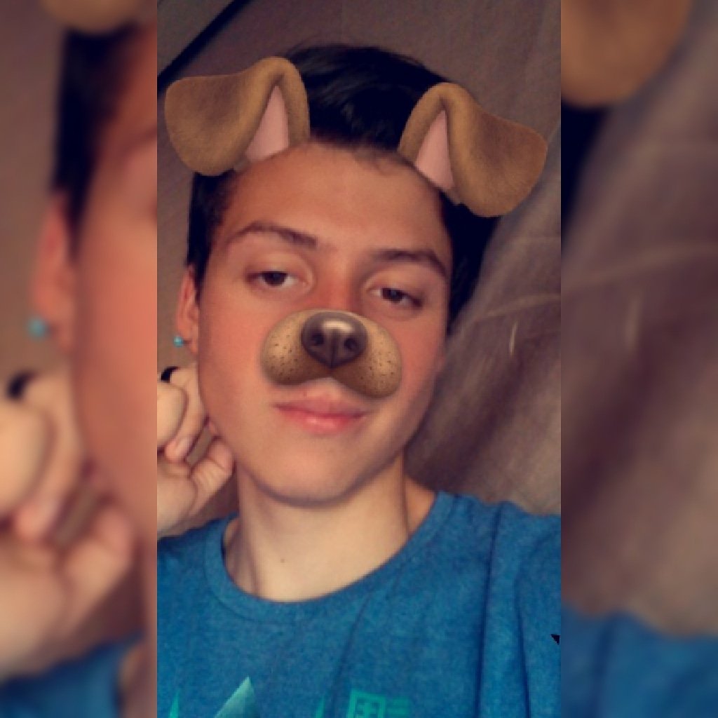 BrunoBaggio6's profile picture. 