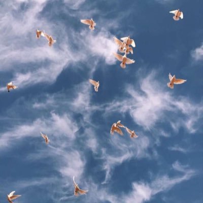 الحمدُلله دائماً وأبداً 🌿