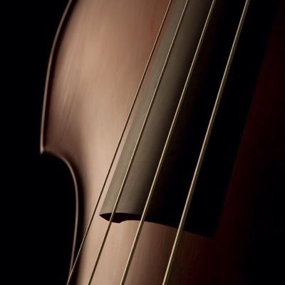 stacypa42041454's profile picture. Crafter, cellist and amateur photographer. I enjoy the great outdoors and traveling. Enjoys spending time with family.