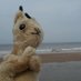 (((BD Squirrel))) (@squirrel_bd) Twitter profile photo (((BD Squirrel))) (@squirrel_bd) Twitter profile photo