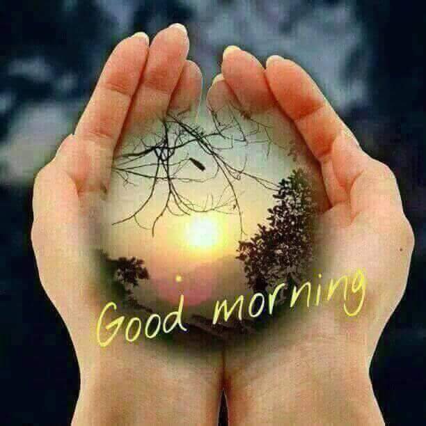 nguyenct71's profile picture. 