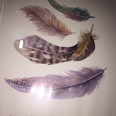 Damari200119's profile picture. If you can dream it, you can do it ♥️