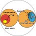 地震研究ノート (@jishin_lab) Twitter profile photo 地震研究ノート (@jishin_lab) Twitter profile photo