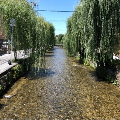 cscf63's profile picture. 大学生/FX専用垢/初心者 よろしくお願いします🤲