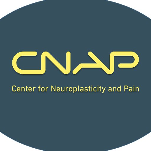 Center for Neuroplasticity and Pain @aausund strive to identify and modulate key features of human pain neuroplasticity. A Center of Excellence funded by #DNRF.