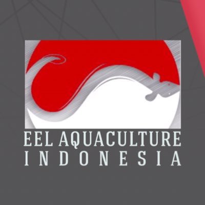 eelaquaculture's profile picture. 🔬Research 🌏Global Trading     Eel Aquaculture of Indonesia Anquilla Bicolor Bicolor