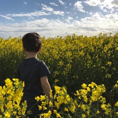 Dad. Lawn enthusiast. Teacher. Focused on Australian Agriculture. Views mine.