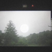 Animal Flag (@animalflag) 's Twitter Profile