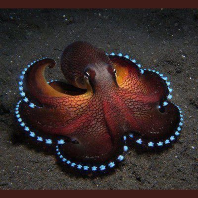 fengel81's profile picture. 