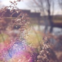 🌸🌼🌹🍭🌻🍦⛅ (@langitbiruuu___) 's Twitter Profile Photo 🌸🌼🌹🍭🌻🍦⛅ (@langitbiruuu___) 's Twitter Profile Photo