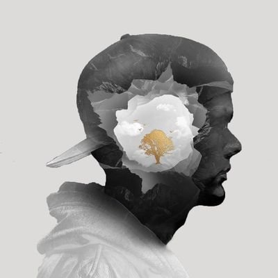 Realovery's profile picture. 