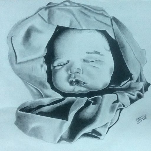 I am a hobbyist photographer and a drawing/painting/digital artist with fond of doing nature photography and all type of drawings, paintings and designs.