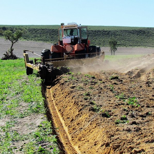 PlozzaPlows's profile picture. 