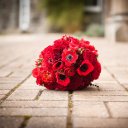 Amanda Gard Wedding Photography - @AmandaGardPix - Twitter