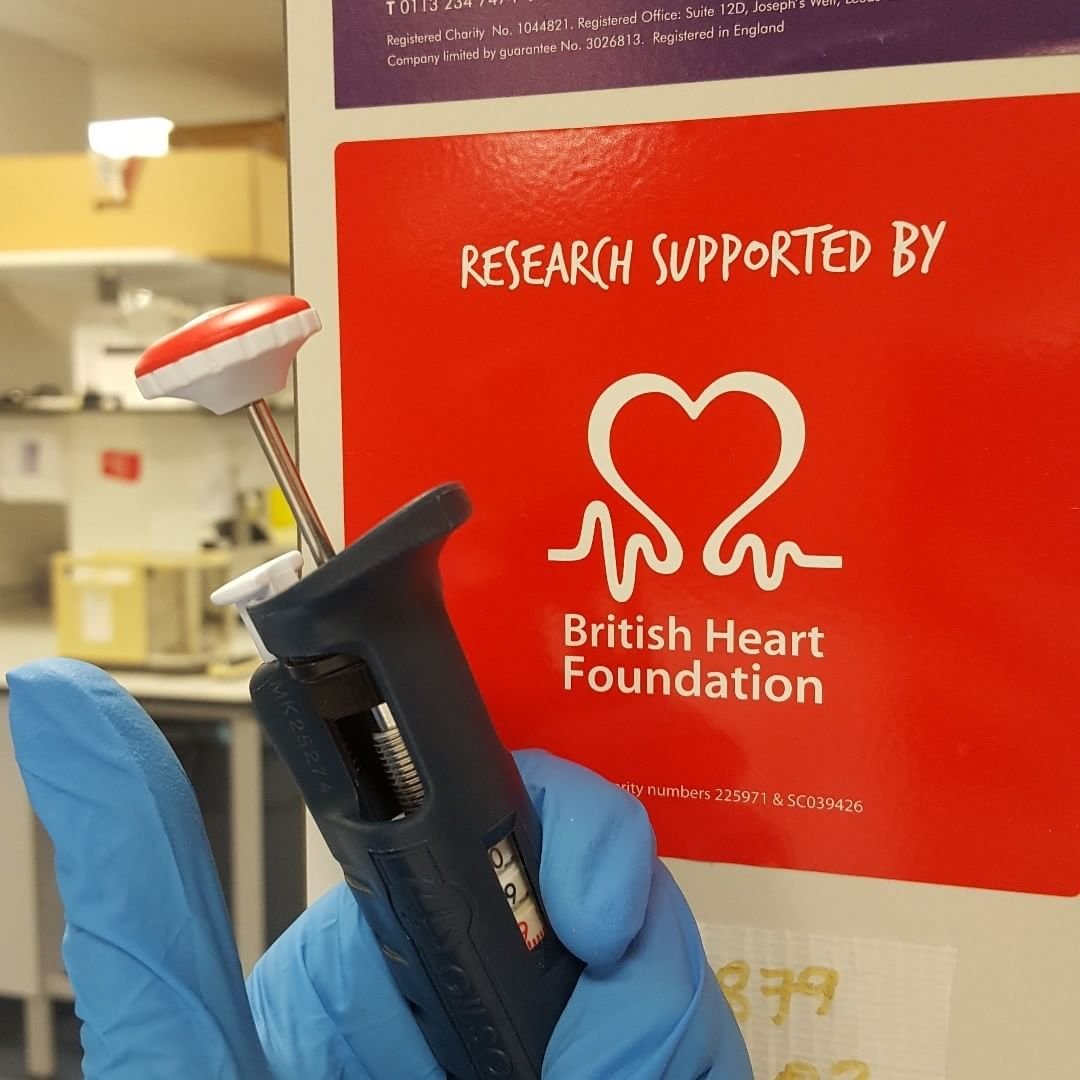 QMULBHF's profile picture. PhD students, post-doctoral fellows, clinicians and lecturers at QMUL fundraising for the BHF 🙂❤️