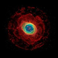 . (@ray1hn3dhswuimc) Twitter profile photo