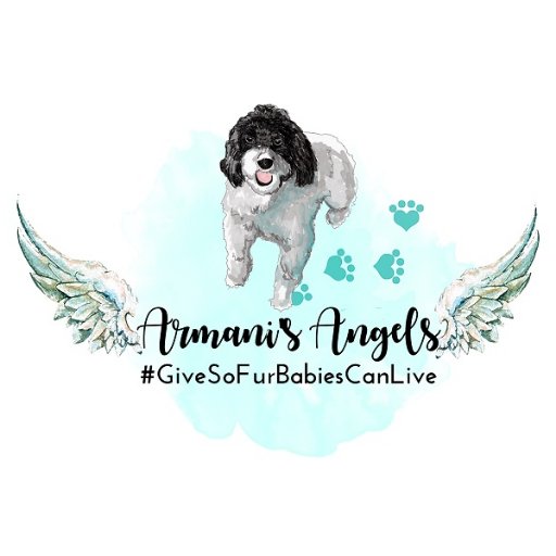 Armani's Angels is a non-profit organization dedicated to raising funds to financially assist pet owners in the treatment of their ill or injured pets.