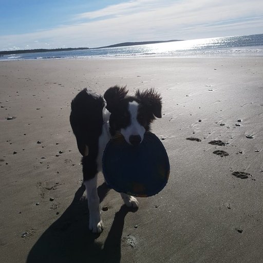 Proud mama to my real babies and my fur babies! Livin Lovin and Laughin on the East Coast!