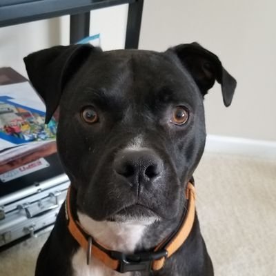 AdrianFugler's profile picture. Maybe I'm too old for this?