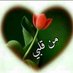 خليل (@vxcqrexirqh3kzb) Twitter profile photo خليل (@vxcqrexirqh3kzb) Twitter profile photo