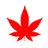 weed_canada avatar