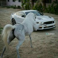 Mustang_Addict(@Abbaskhan560) 's Twitter Profile Photo