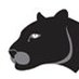 nv_panthers (@nv_panthers) Twitter profile photo nv_panthers (@nv_panthers) Twitter profile photo