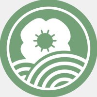 Poppyfield Primary Academy (@poppyfieldsch) 's Twitter Profile