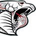Triton Softball (@tritonfastpitch) Twitter profile photo