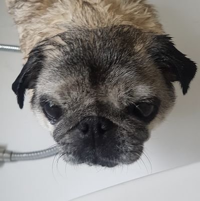 cmcc77's profile picture. 