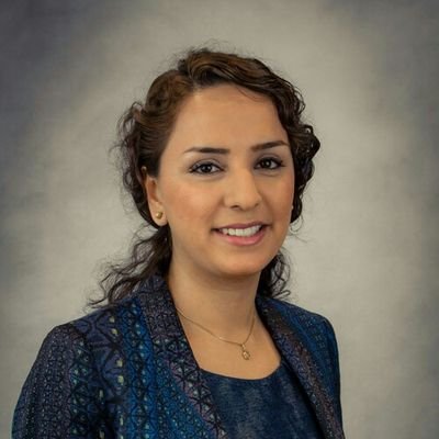 dornaeshrati's profile picture. Designer, Researcher, & Educator  I  PhD