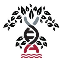 UA Dept. of BSC (@uadeptbsc) Twitter profile photo