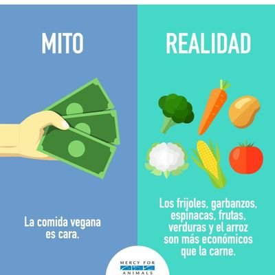 jess_ica_diaz's profile picture. Soy creyente de la yerbabuena y la herbolaria. Sintoista, tímida y a veces devota al ramen. Creo que las respuestas a todo se encuentran en el origen.