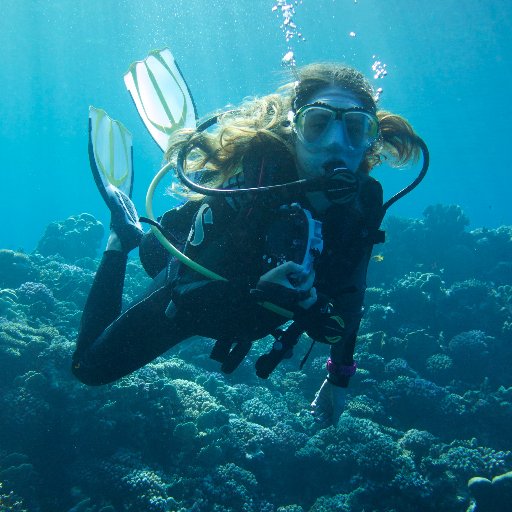 Assistant Professor @AmericanU | ecology and adaptation of marine prokaryotes | coral reefs | genomics+transcriptomics | Dog lover | she/her | proud 🇨🇴