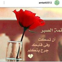 الحمدالله (@amimh0512) Twitter profile photo