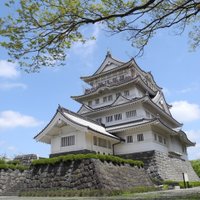 千葉市立郷土博物館 (@chibashikyodo) 's Twitter Profile Photo 千葉市立郷土博物館 (@chibashikyodo) 's Twitter Profile Photo