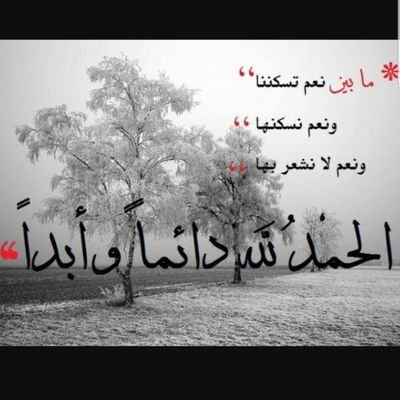 Araaghy's profile picture. almaaahr