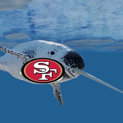 The lovable narwhal who really likes the 49ers