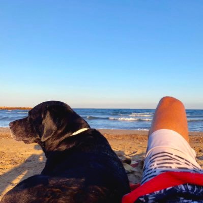 willy_mero's profile picture. Uno reconoce a las personas inteligentes por sus repuestas. A los sabios se les reconoce por sus preguntas