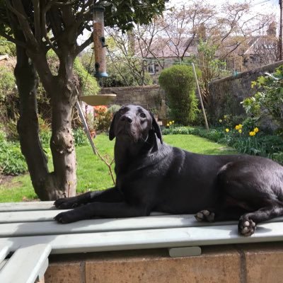 bettyroynon's profile picture. 