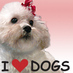I Love Dogs (@ilovedogs_inc) Twitter profile photo