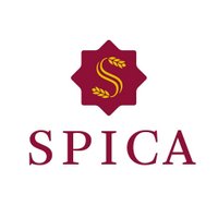 Spica Verlag (@spicaverlag) Twitter profile photo