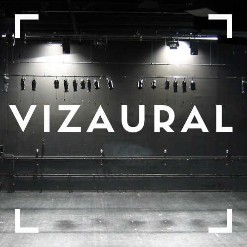 VizauralMusic Profile Picture
