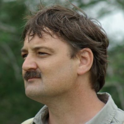 DiederickPutter's profile picture. IT Professional