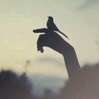 سعودي لي الفخر (@sahm000) Twitter profile photo