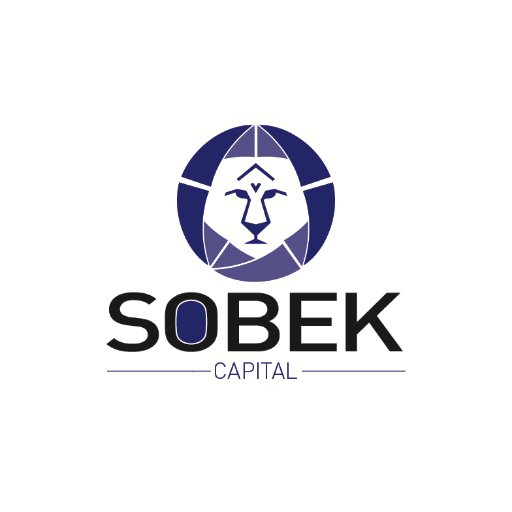 A P.E firm focused on Corporate Turnarounds by acquiring controlling % in companies that are financially,operationally or strategically challenged.