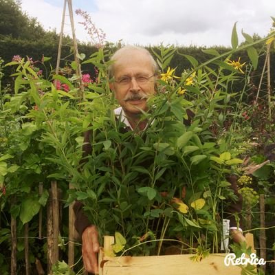 Oud-imker met hart voor ecologisch tuinieren. Begaan met het welzijn van de wilde bijen. #biodiversiteit #permacultuur #natuur #moestuin #Twente